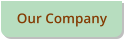 Our Company