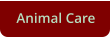 Animal Care