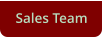 Sales Team