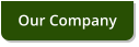 Our Company