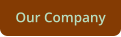 Our Company