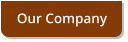 Our Company