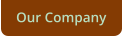 Our Company