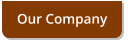 Our Company