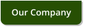 Our Company