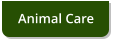 Animal Care