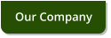Our Company