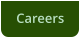 Careers