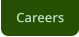 Careers